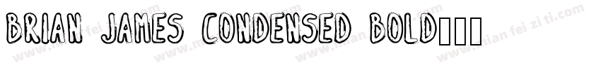 Brian James Condensed Bold字体转换